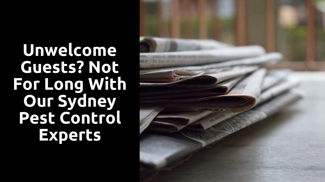 Unwelcome Guests? Not for Long With Our Sydney Pest Control Experts